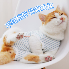 猫咪夏季穿的衣服居家包肚衣布偶猫专用网红高颜值术后防舔绝育服