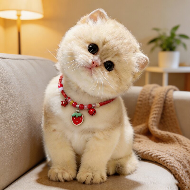 猫咪吊坠项链德文猫专用脖圈装饰颈圈项圈宠物项圈可爱草莓造型图片