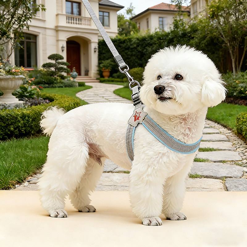 狗狗p绳小型犬防爆冲一体式p链比熊可调节小型犬外出防挣脱牵狗绳