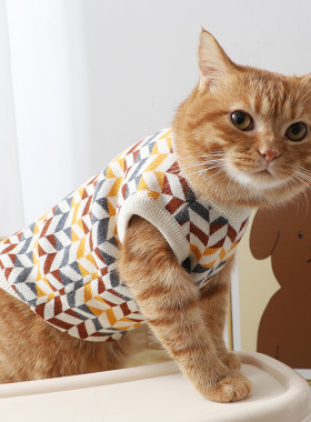 德文猫银渐层金渐层橘猫猫咪专用小衣服无袖菱格毛衣秋季冬天背心