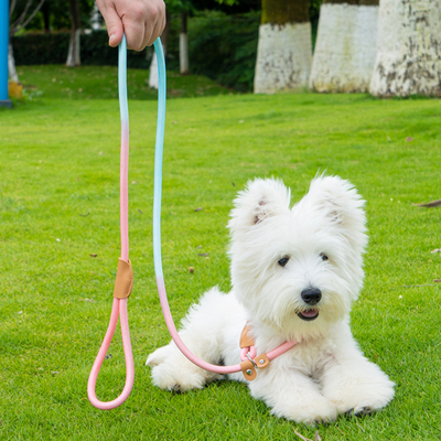 狗狗牵引绳爆冲比熊中小型犬