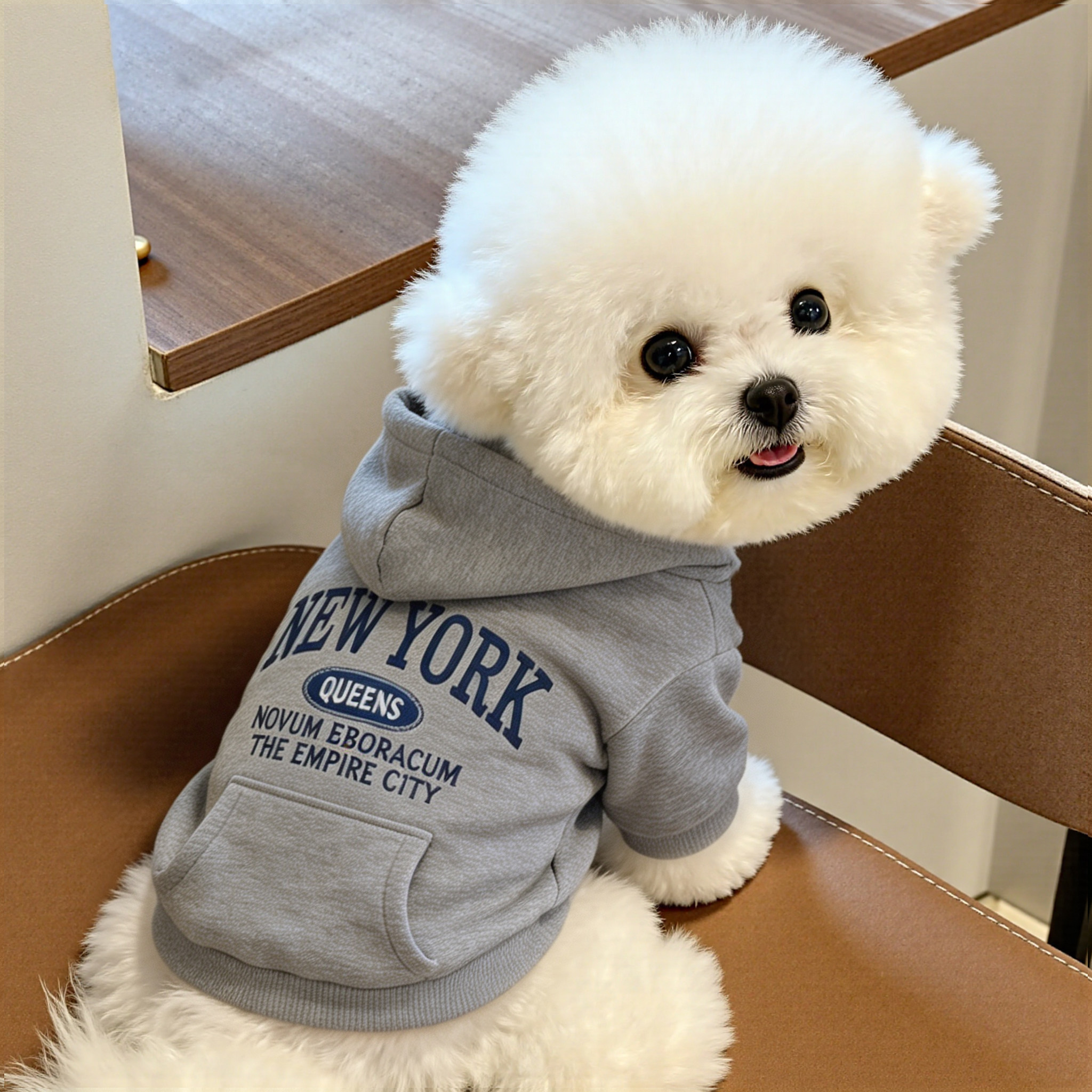 狗狗衣服博美秋款小狗约克夏高颜值秋冬小奶狗防脏连帽口袋两脚衣图片
