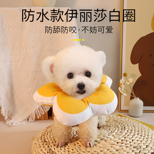 狗狗花朵伊丽莎白圈防舔防水