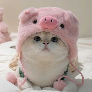 猫咪帽子露耳朵头套可爱小猪小鸡布偶猫缅因猫金渐层宠物用品装扮