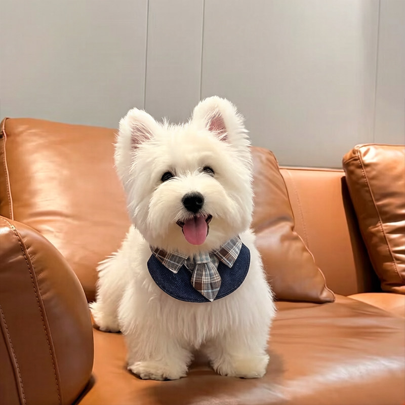 狗狗口水巾围脖小狗围兜小型犬帅气潮流领结领带宠物博美外出专用