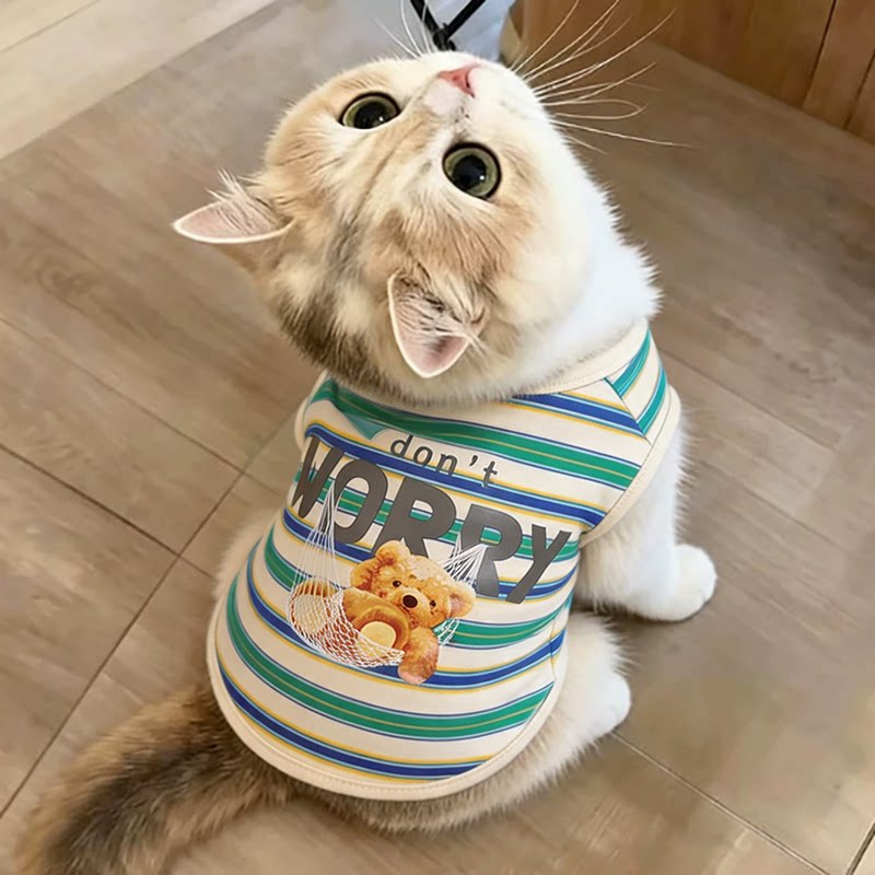 猫咪衣服秋季防掉毛小猫秋天幼猫护肚子春秋可爱条纹绒衣透气背心图片