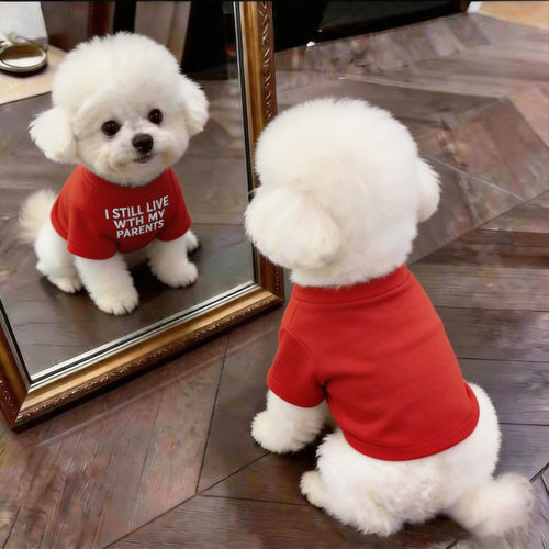 狗狗衣服小型犬秋天新款幼犬春秋小狗外出防脏卫衣英文短袖休闲风