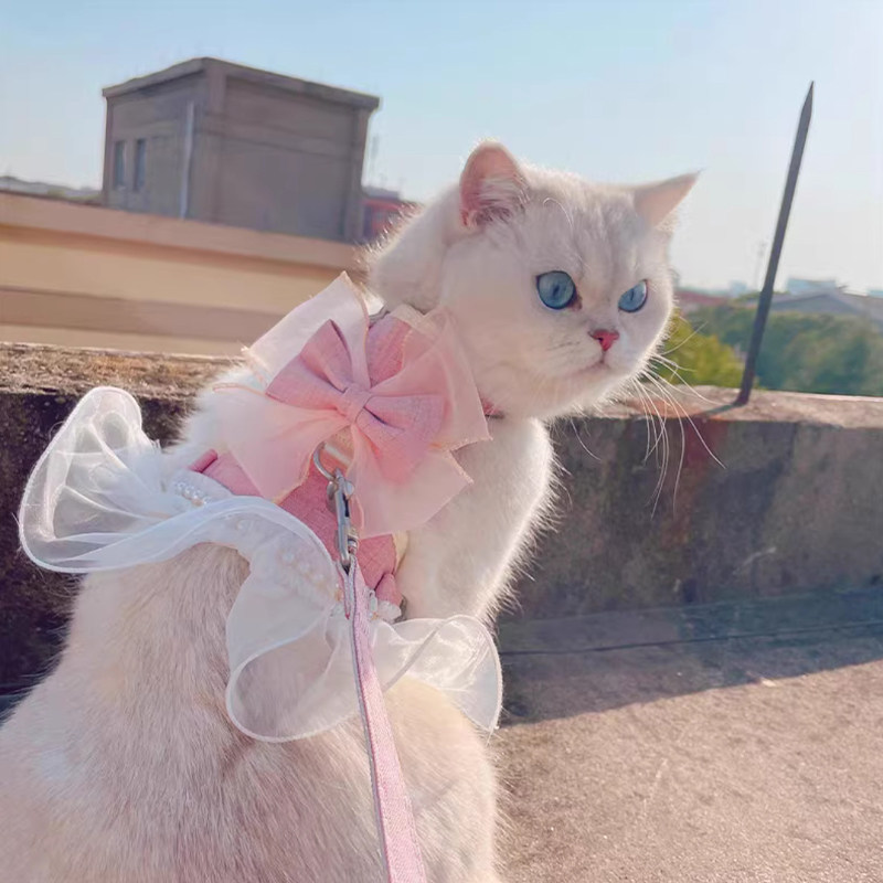 猫咪背心式牵引绳防挣脱外出专用高颜值蝴蝶结珍珠胸背带宠物用品,宠物/宠物食品及用品,猫牵引绳,淘宝优惠券,粉丝福利购,淘宝优惠卷
