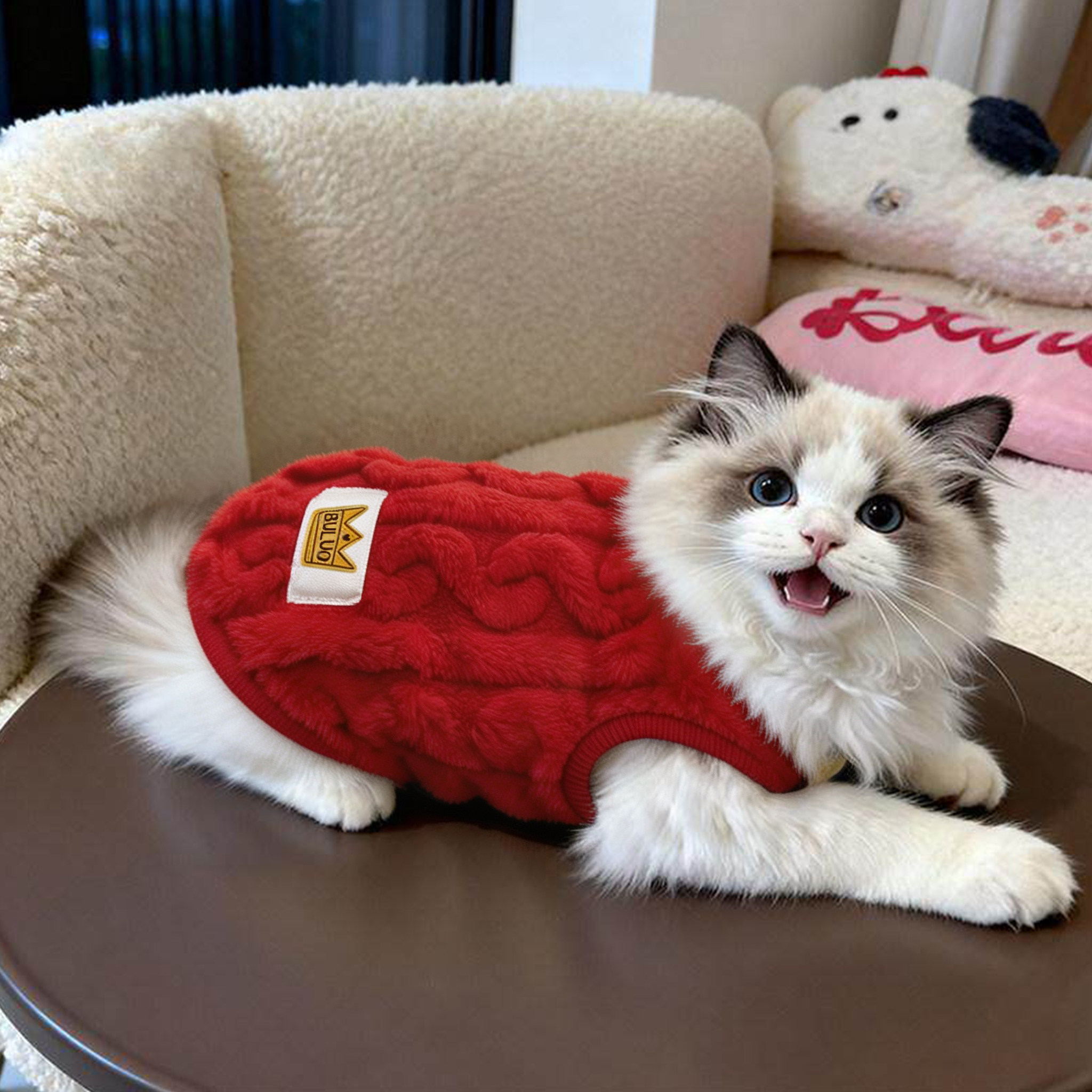 猫咪衣服秋季秋天背心休闲绒衣幼猫护肚子春秋两脚冬装防掉毛小猫图片
