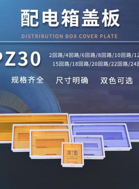 PZ30配电箱盖板DZ47盖子8/10/12/15/18/20/22/24回路照明塑料面板