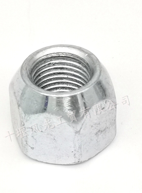 适配东风小康C31C32K01K02K07SEC36车轮毂螺母 轮胎螺丝杆帽 原装