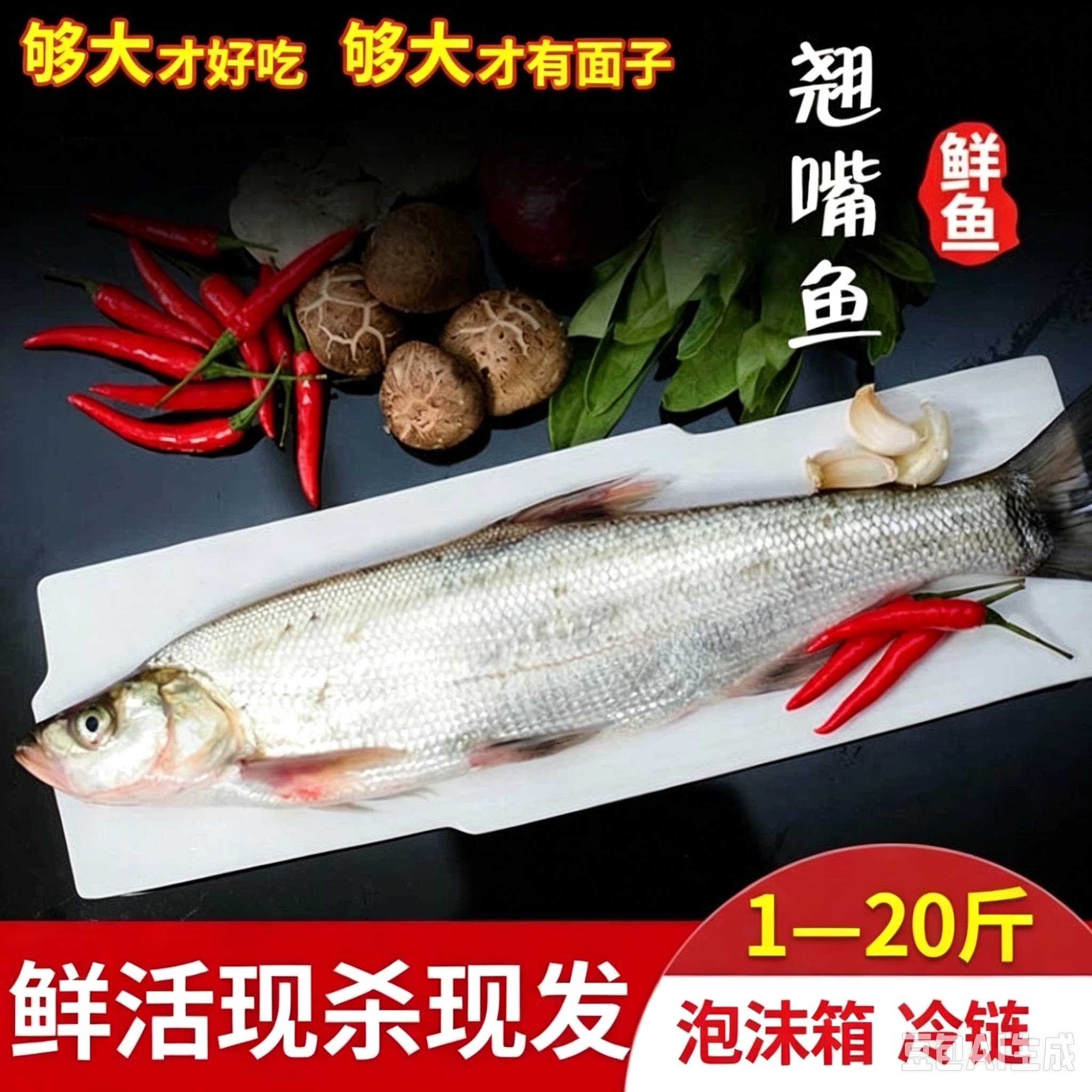 鲜活加冰发出刁子鱼大白刁