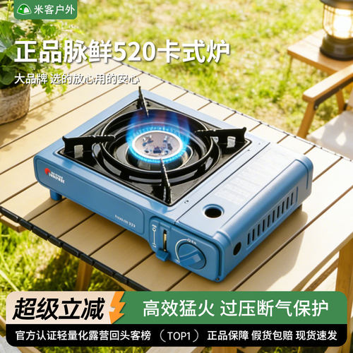 脉鲜便携式烧烤卡磁炉户外家用