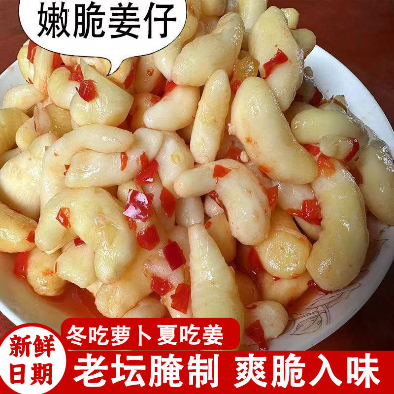 广西农家腌制嫩仔姜新鲜当季椒泡姜醋泡酸辣嫩姜生姜芽泡菜下饭菜图片