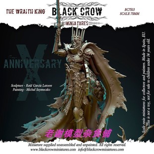 Crow Miniatures THE 75mm Black WRAITH KING