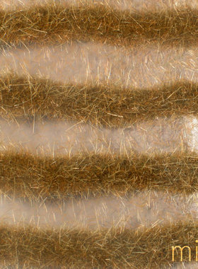 现货 ininatur Karst strips late fall 738-34S 1:45, 1:32 草簇