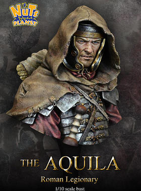 现货 Nuts planet The Aquila 1/10th