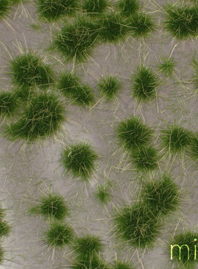 现货 Mininatur Karst tufts summer 737-32S 737-32MS 草簇 植株