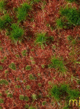 现货 Mininatur Overgrown forest floor summer 741-32S 草簇