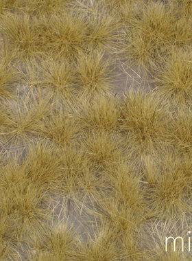现货 Mininatur Grass tufts long late fall 727-34S 727-34MS