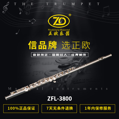 正欧儿童专用高级包邮长笛乐器