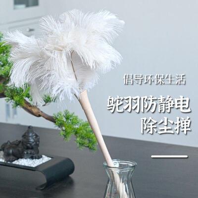 静电真鸵鸟毛掸子迷你鸵鸟羽毛掸子除尘家用小鸡毛掸子掸灰除尘刷