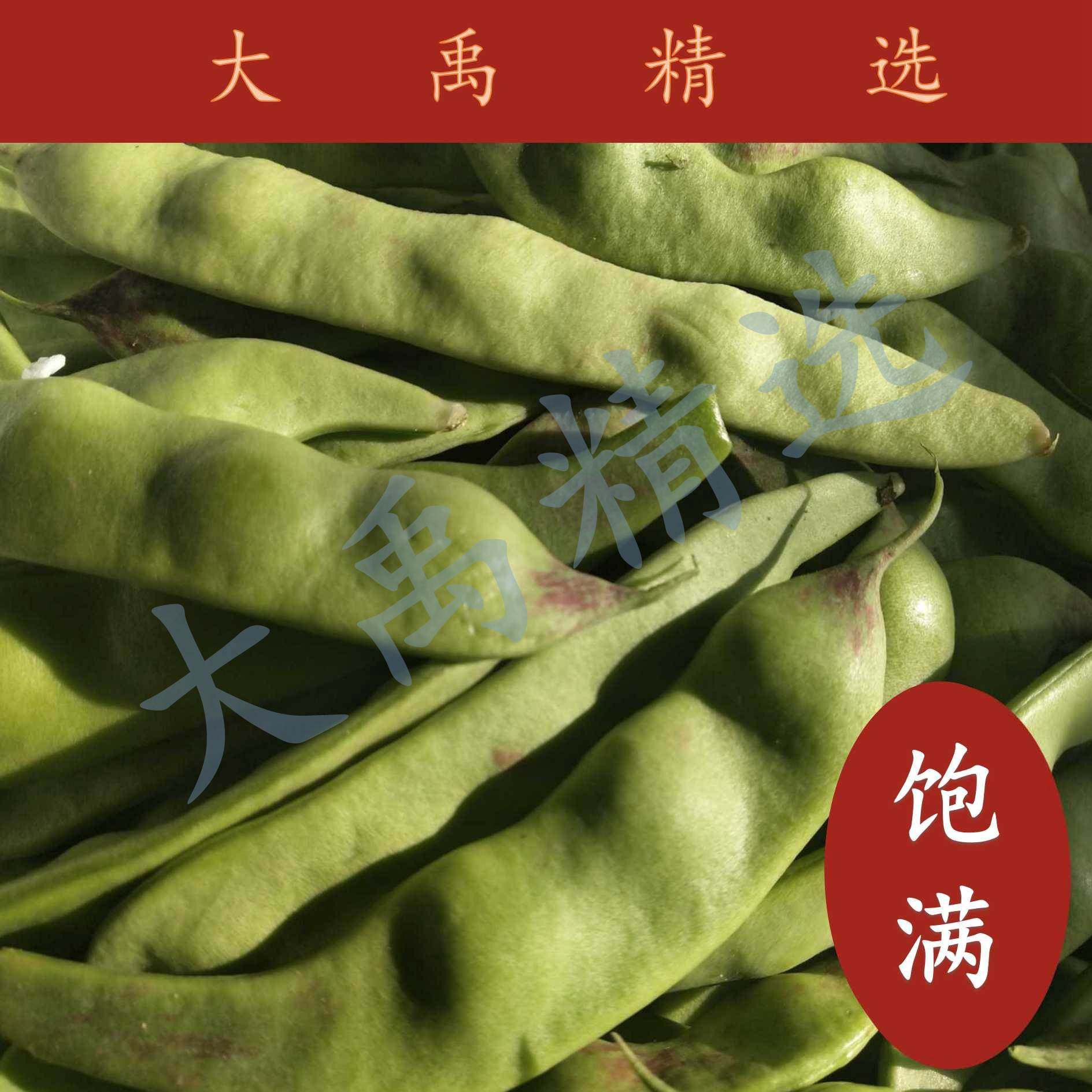 新款 东北油豆角新鲜蔬菜 5斤净重现摘现发开锅烂大宽包邮一点红,水产肉类/新鲜蔬果/熟食,新鲜豆类,淘宝优惠券,粉丝福利购,淘宝优惠卷