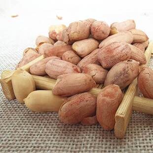 新款 天津武清风味狗屁果仁五香花生米300克*3袋零食炒货香酥下酒