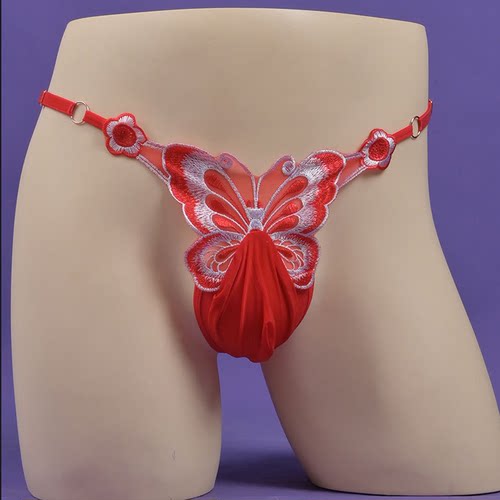 男式丁字裤腰围可调节U凸囊袋性感透明T裤弹力低腰丝袜内裤AT-601