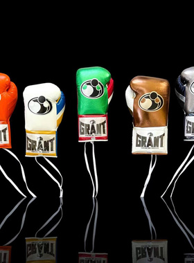 GRANT Pro Fight格兰特 职业拳击系绳训练实战专业比赛拳套手套