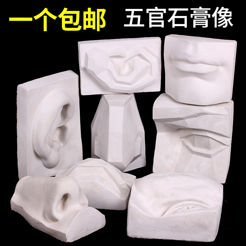 包邮单个石膏五官耳鼻嘴眼石膏像素描静物模型教具雕塑实面切面美术鼻子大五官