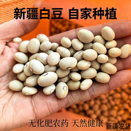 新疆农家老品种白豆无化肥新货