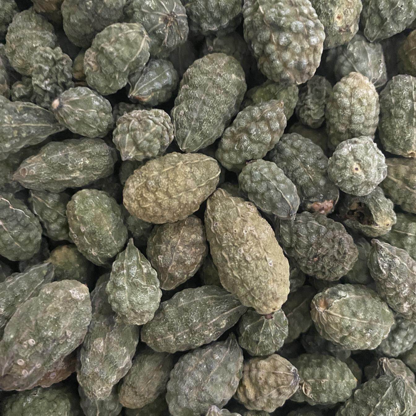 新疆野西瓜250g中药材野生西瓜自然晒干新疆发货