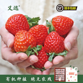 包邮 莫干山义远有机草莓越心礼盒装 整箱一盒顺丰速运 非红颜99