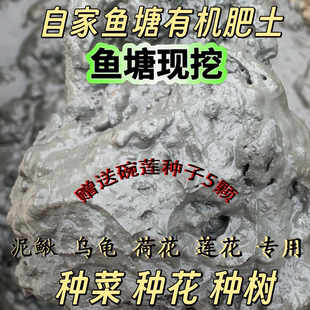 池塘泥天然有机淤泥荷花碗莲睡莲一叶莲养龟水生动植物专用荷塘泥