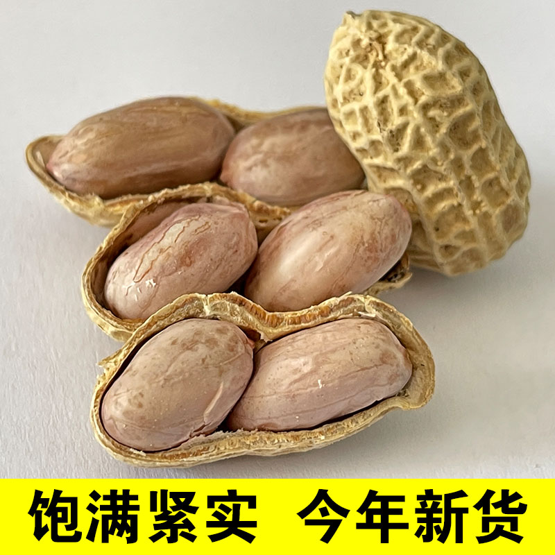 河源特产坚果袋装带壳原味花生仁