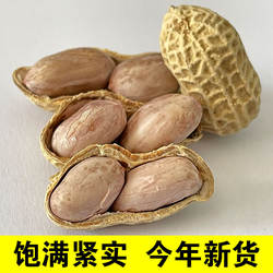 连平忠信花生河源特产零食蒜香水煮白晒坚果袋装花生仁带壳原味