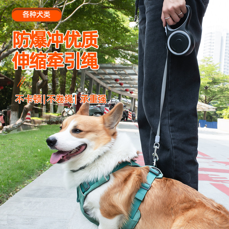 狗狗牵引绳自动伸缩遛狗猫咪幼犬小型中型大型犬泰迪柯基狗链狗绳