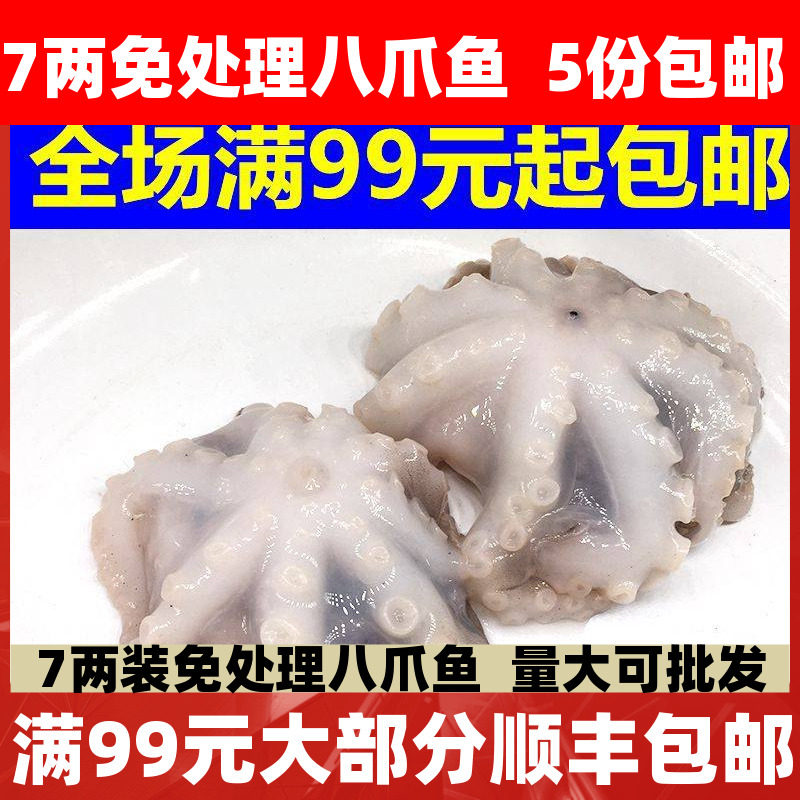 新鲜八爪鱼海鲜鲜活小章鱼八抓鱼迷你八爪鱼麻辣长腿章鱼足包邮