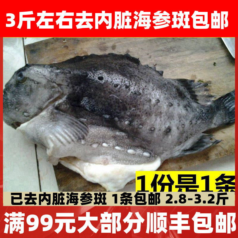北极海参斑斑鱼冷冻海鲜鱼类 新鲜海鱼3斤左右包邮