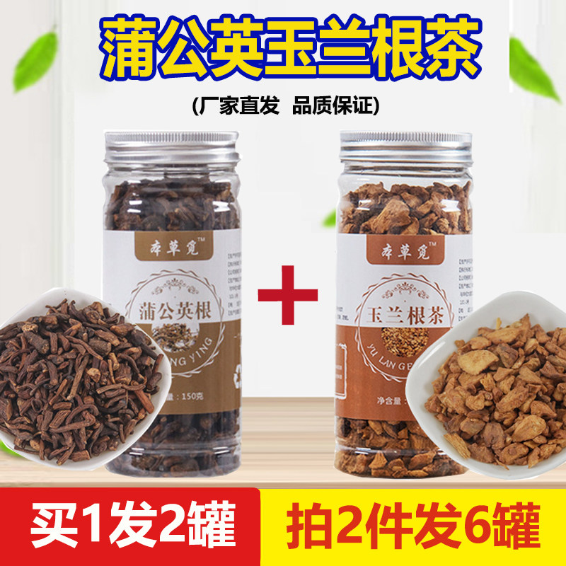 蒲公英非野生组合玉兰根茶