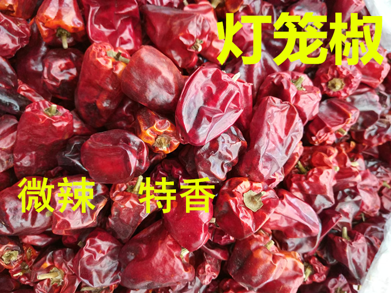 特香干辣椒灯笼椒贵州红辣椒