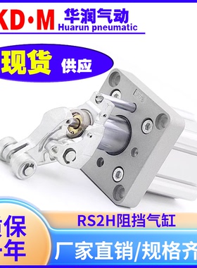 SMC型阻挡气缸RSH RS2H RS1H RSA50-30DL DM BL BM  TM-D-C-DC-DS
