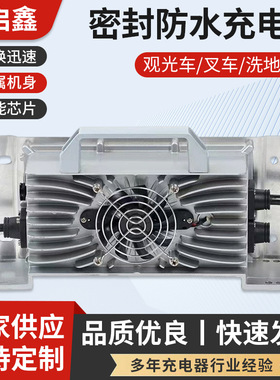 观光车充电器48V60V72V10A15A20A24V15A20A36V电动叉车洗地机