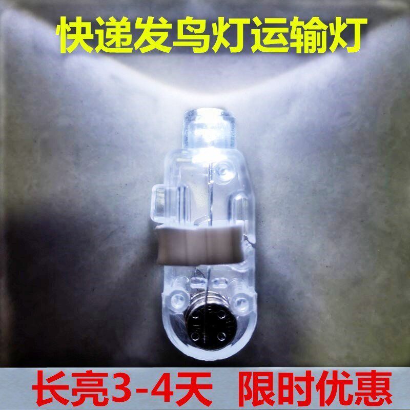 迷你发货照明鸟笼小夜灯玩具长时间邮鸟灯运鸟灯小型发鸟灯运输灯