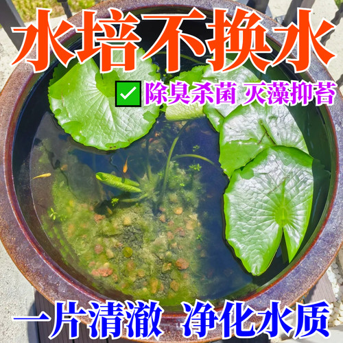 水培植物净水片除臭杀菌消毒青苔除藻净水剂碗莲睡莲醒鲜花保鲜剂