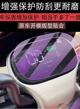 适用绿源F10仪表膜绿源f10电动车液晶贴膜绿原显示屏LY1000DT-9