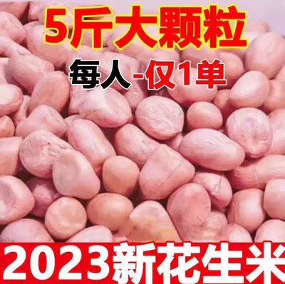 2023年新花生米干生花生新鲜农家特级大粒红皮花生仁新货甜去壳