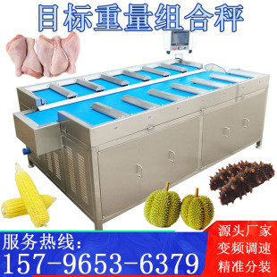 多工位定量秤龙虾鸡腿鸡翅配重秤榴莲肉水果皮带称重组合秤魔芋干