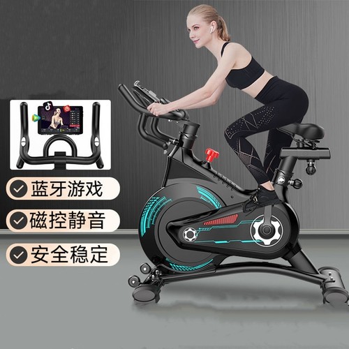 家用静音稳固型健身单车